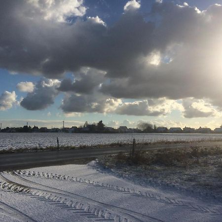 Alte Heimat Leilighet Schwegenheim Eksteriør bilde