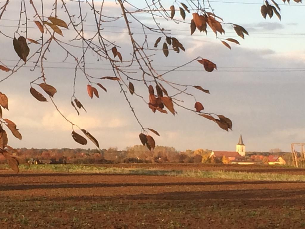 Alte Heimat Leilighet Schwegenheim Eksteriør bilde