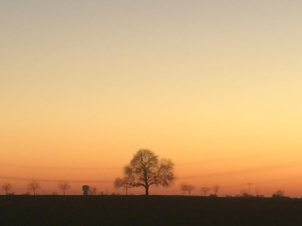 Alte Heimat Leilighet Schwegenheim Eksteriør bilde