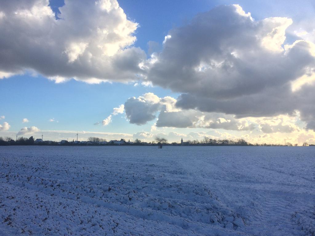 Alte Heimat Leilighet Schwegenheim Eksteriør bilde