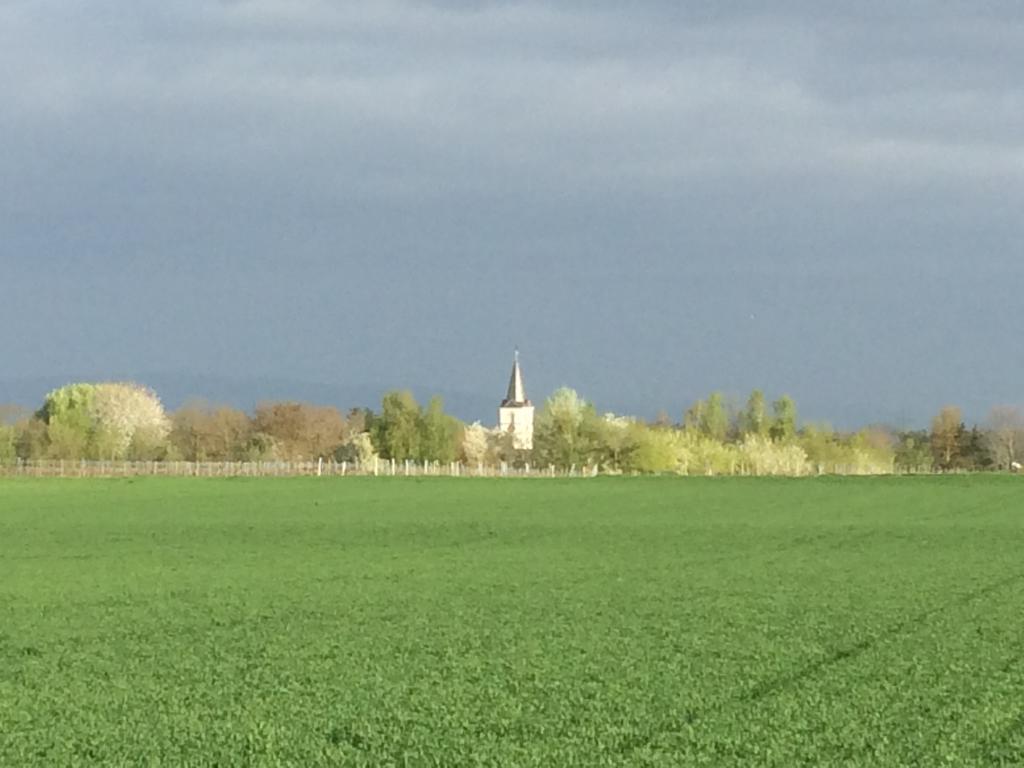 Alte Heimat Leilighet Schwegenheim Eksteriør bilde